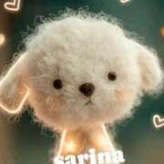 ヒメ日記 2026/04/10 17:05 投稿 向井さりな 人妻愛姫◆Kiaro24時!!