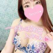 ヒメ日記 2025/01/30 10:09 投稿 ゆうか MIKADO