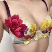 ヒメ日記 2025/06/16 08:37 投稿 ゆうか MIKADO