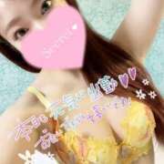 ヒメ日記 2025/10/23 10:01 投稿 ゆうか MIKADO