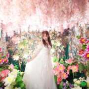 ヒメ日記 2025/11/04 12:21 投稿 ゆうか MIKADO