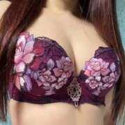 ヒメ日記 2025/11/22 10:22 投稿 ゆうか MIKADO