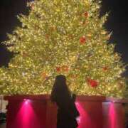 ヒメ日記 2025/12/14 09:51 投稿 ゆうか MIKADO