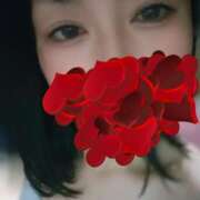 ヒメ日記 2024/12/16 16:11 投稿 りか 玉乱☆痴（たまらんち）