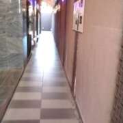 ヒメ日記 2026/02/21 14:18 投稿 りか 玉乱☆痴（たまらんち）