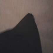 ヒメ日記 2026/02/21 22:17 投稿 りか 玉乱☆痴（たまらんち）