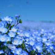 ヒメ日記 2025/04/26 13:25 投稿 なぎさ 千葉人妻セレブリティ（ユメオト）