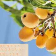 ヒメ日記 2025/07/02 12:57 投稿 なぎさ 千葉人妻セレブリティ（ユメオト）