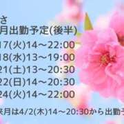 ヒメ日記 2026/03/16 11:56 投稿 なぎさ 千葉人妻セレブリティ（ユメオト）