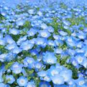 ヒメ日記 2026/05/04 13:38 投稿 なぎさ 千葉人妻セレブリティ（ユメオト）