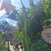 ヒメ日記 2025/07/27 22:45 投稿 あい ルネッサンス