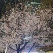 ヒメ日記 2026/03/29 22:45 投稿 あい ルネッサンス