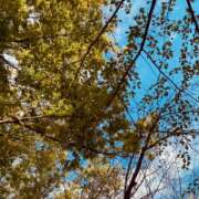 ヒメ日記 2025/10/06 19:28 投稿 朝倉　看護師 うちの看護師にできることと言ったら・・・in渋谷KANGO