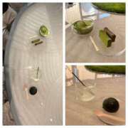 ヒメ日記 2025/07/19 13:57 投稿 大島　看護師 うちの看護師にできることと言ったら・・・in渋谷KANGO