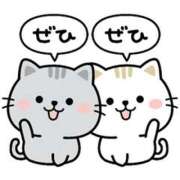 ヒメ日記 2025/03/30 14:41 投稿 かすみ 諭吉専科