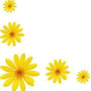 ヒメ日記 2025/11/05 08:11 投稿 かすみ 諭吉専科