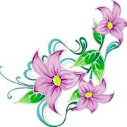 ヒメ日記 2025/11/09 08:17 投稿 かすみ 諭吉専科