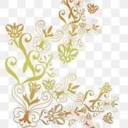 ヒメ日記 2025/11/13 08:21 投稿 かすみ 諭吉専科