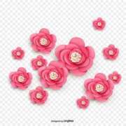 ヒメ日記 2025/11/16 08:05 投稿 かすみ 諭吉専科