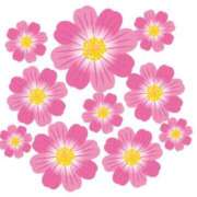 ヒメ日記 2025/11/23 08:58 投稿 かすみ 諭吉専科