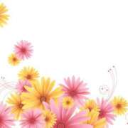 かすみ 今日 諭吉専科