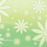 ヒメ日記 2026/01/28 09:23 投稿 かすみ 諭吉専科