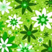 かすみ 今日 諭吉専科