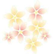 ヒメ日記 2026/02/26 09:27 投稿 かすみ 諭吉専科