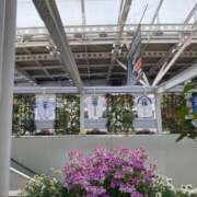 佳乃 今日は当日欠勤ごめんなさい。 モアグループ所沢人妻城