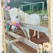 ほたる こんにちは 千葉人妻セレブリティ（ユメオト）