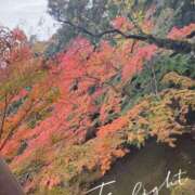 ヒメ日記 2025/11/28 16:38 投稿 ほたる 千葉人妻セレブリティ（ユメオト）