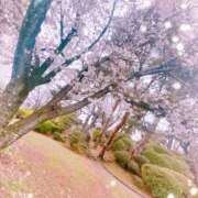 ほたる こんにちは 千葉人妻セレブリティ（ユメオト）