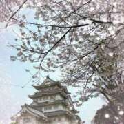 ヒメ日記 2026/04/12 16:20 投稿 ほたる 千葉人妻セレブリティ（ユメオト）