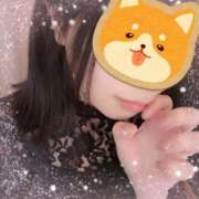 ヒメ日記 2026/04/17 11:01 投稿 ほたる 千葉人妻セレブリティ（ユメオト）