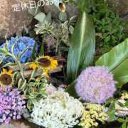 ヒメ日記 2025/01/15 07:34 投稿 はづき 神戸3040（神戸サーティフォーティ）