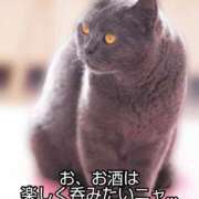 ヒメ日記 2025/02/11 22:15 投稿 和泉かりな 千葉快楽Ｍ性感倶楽部～前立腺マッサージ専門～