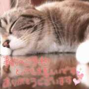 ヒメ日記 2025/04/25 19:31 投稿 和泉かりな 千葉快楽Ｍ性感倶楽部～前立腺マッサージ専門～