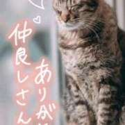 ヒメ日記 2025/07/11 08:17 投稿 和泉かりな 千葉快楽Ｍ性感倶楽部～前立腺マッサージ専門～