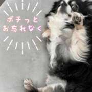 ヒメ日記 2025/11/14 19:26 投稿 和泉かりな 千葉快楽Ｍ性感倶楽部～前立腺マッサージ専門～