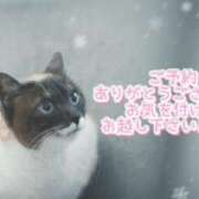 ヒメ日記 2026/02/07 16:45 投稿 和泉かりな 千葉快楽Ｍ性感倶楽部～前立腺マッサージ専門～