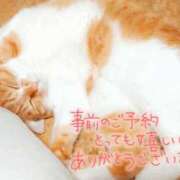 ヒメ日記 2026/02/21 18:22 投稿 和泉かりな 千葉快楽Ｍ性感倶楽部～前立腺マッサージ専門～