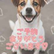 ヒメ日記 2026/02/28 21:48 投稿 和泉かりな 千葉快楽Ｍ性感倶楽部～前立腺マッサージ専門～