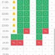 ヒメ日記 2026/02/09 17:41 投稿 結城さとみ 千葉快楽Ｍ性感倶楽部～前立腺マッサージ専門～