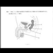 ヒメ日記 2026/03/09 18:59 投稿 結城さとみ 千葉快楽Ｍ性感倶楽部～前立腺マッサージ専門～