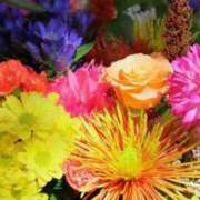 ヒメ日記 2025/03/15 10:15 投稿 あいか 待ちナビ