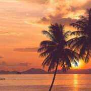 ヒメ日記 2025/08/06 17:56 投稿 りず 待ちナビ