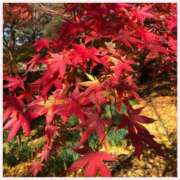 ヒメ日記 2024/12/08 18:25 投稿 るい 待ちナビ