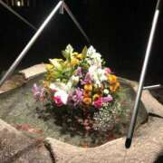 ヒメ日記 2024/12/31 20:18 投稿 るい 待ちナビ