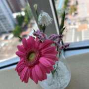 ヒメ日記 2025/01/15 19:35 投稿 るい 待ちナビ