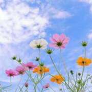 ヒメ日記 2025/08/17 12:20 投稿 るい 待ちナビ